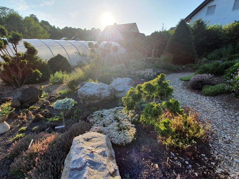 blumen dirr insektengarten finnentrop heggen2 blumen dirr insektengarten finnentrop heggen2