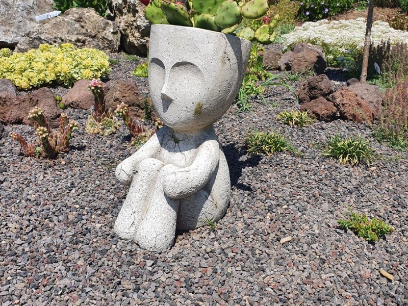 blumen dirr insektengarten finnentrop heggen4 blumen dirr insektengarten finnentrop heggen4