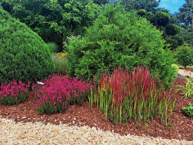 insektengarten24 insektengarten24