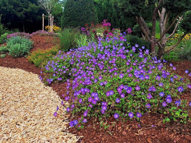 insektengarten25 insektengarten25