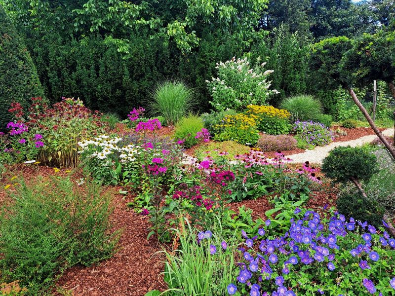 insektengarten26 insektengarten26