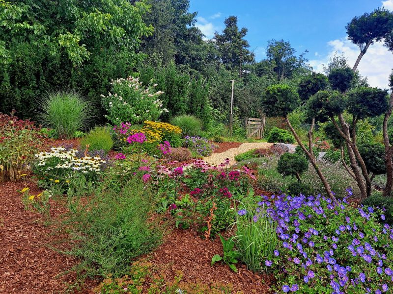 insektengarten27 insektengarten27