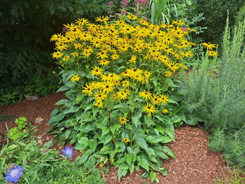 insektengarten28 insektengarten28