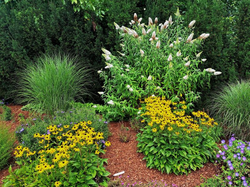 insektengarten30 insektengarten30