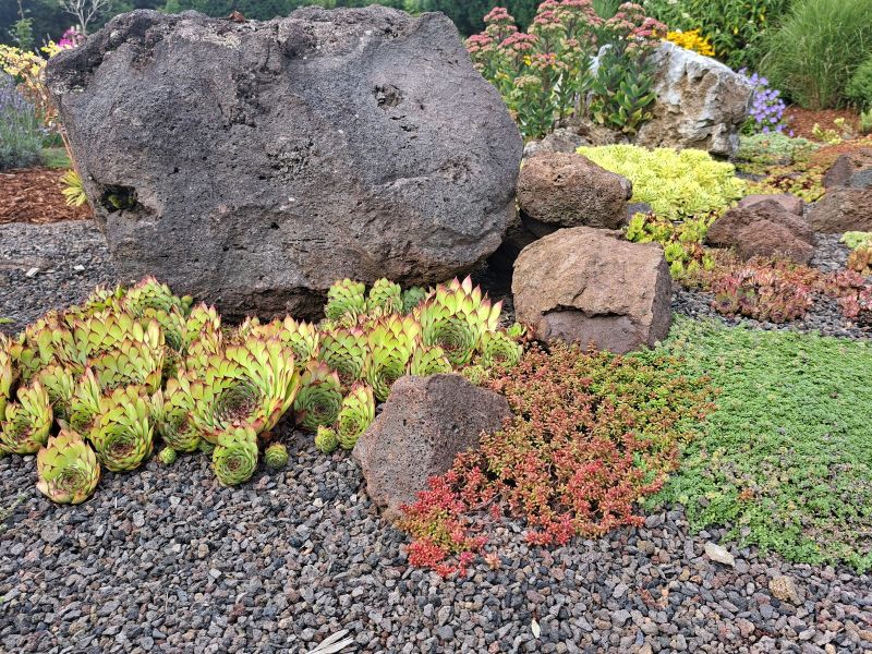 insektengarten34 insektengarten34