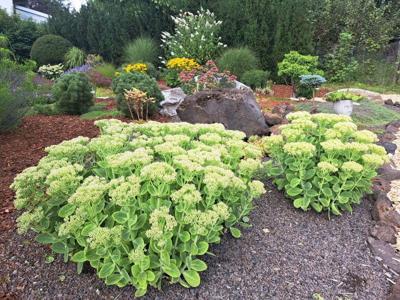 insektengarten36 insektengarten36