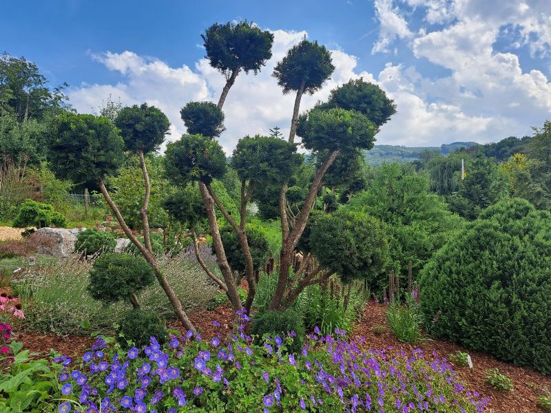 insektengarten37 insektengarten37