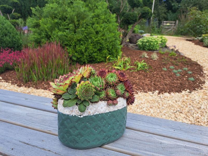 insektengarten39 insektengarten39