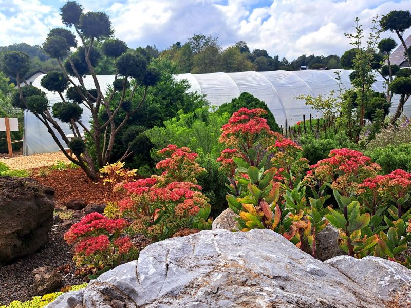 insektengarten41 insektengarten41