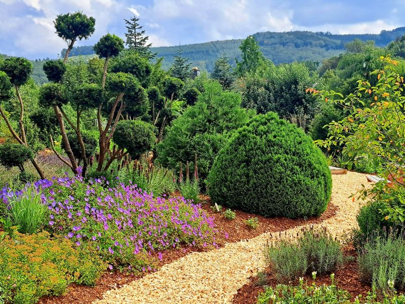 insektengarten53 insektengarten53