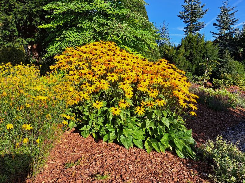 insektengarten69 insektengarten69