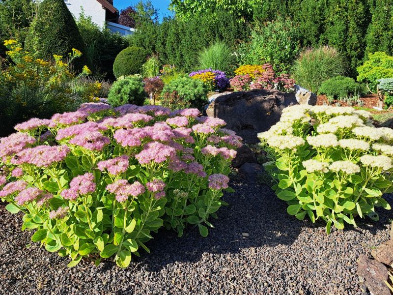 insektengarten73 insektengarten73