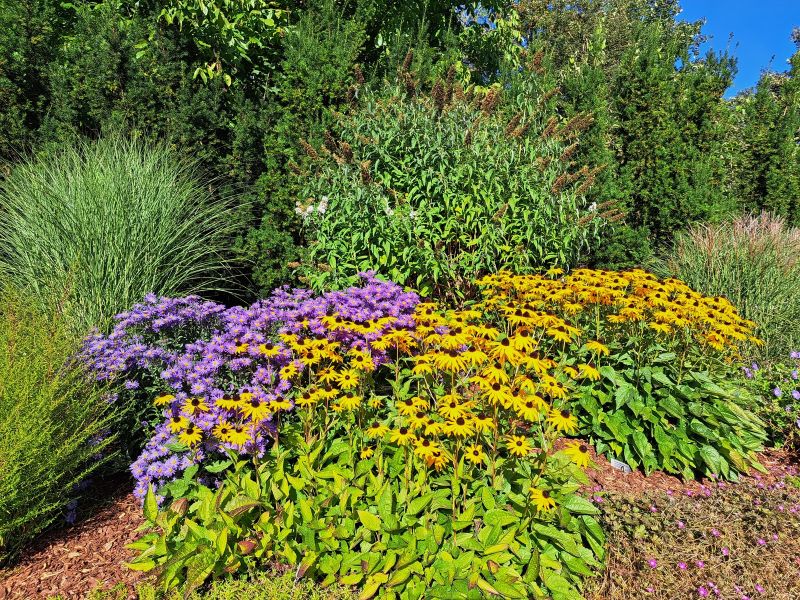 insektengarten74 insektengarten74